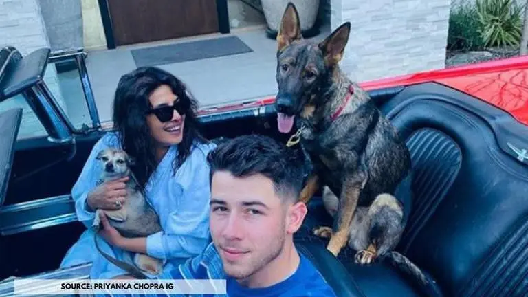 Priyanka Chopra misses her boys 'Panda' and 'Gino', shares a pic from London priyanka chopra