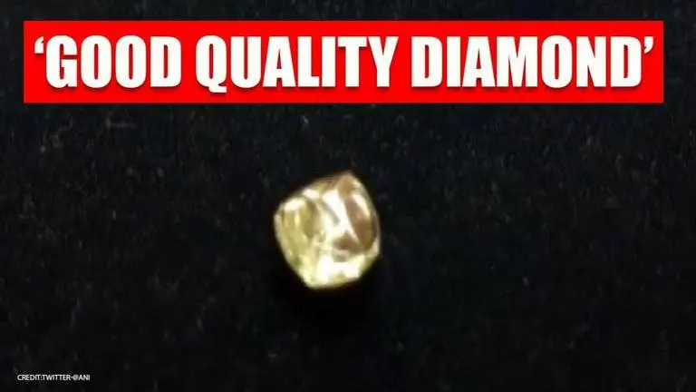 Labourer finds 10.69-carat diamond from Panna mine in Madhya Pradesh Labourer