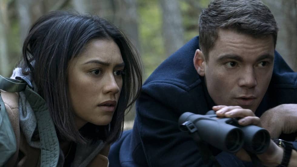 Description of the pic