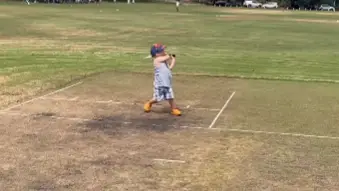 Golden Girls Toddler Goes Viral: The Internet's Newest Sensation