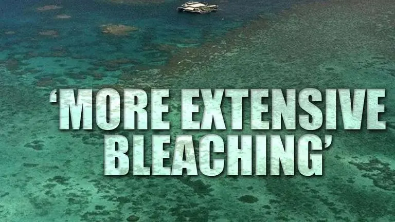 Australia's Great Barrier Reef suffered its most extensive coral bleaching event in March australia