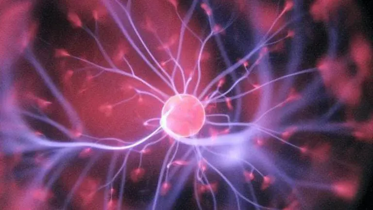 Platelets can replicate benefits of exercise in brain, study finds