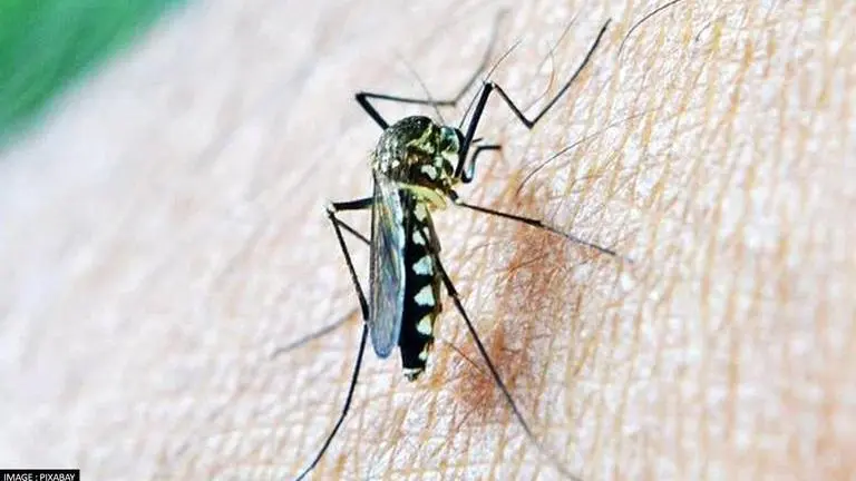 Africa: Concerns grow about new Malaria mutation as rapid tests fail to detect parasite Malaria