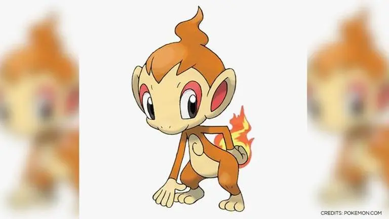 How to catch Chimchar in Pokemon Go? Check Where to find, Evolution Line guide here How to catch Chimchar in Pokemon Go? Check Where to find, Evolution Line guide here