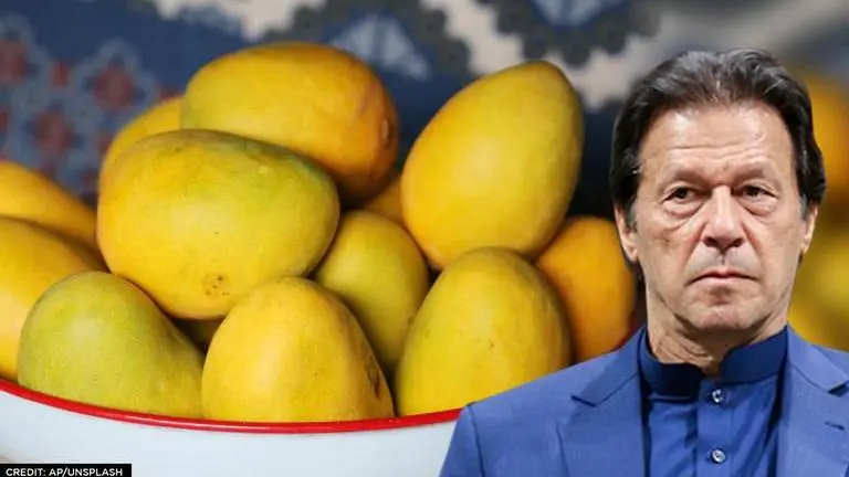 Pakistan sends mangoes to 32 nations under 'Mango diplomacy'; US, China reject souvenir Imran Khan