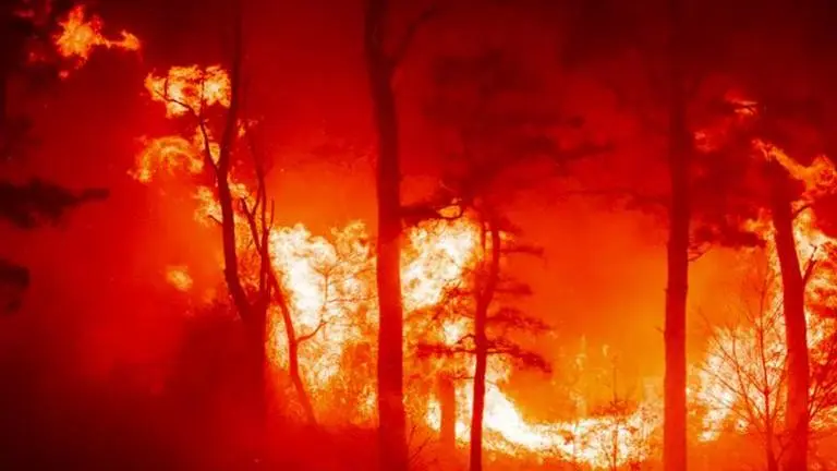 New Jersey pine barrens fire: Big flames, raining embers as wildfire tears through 3,800 acres