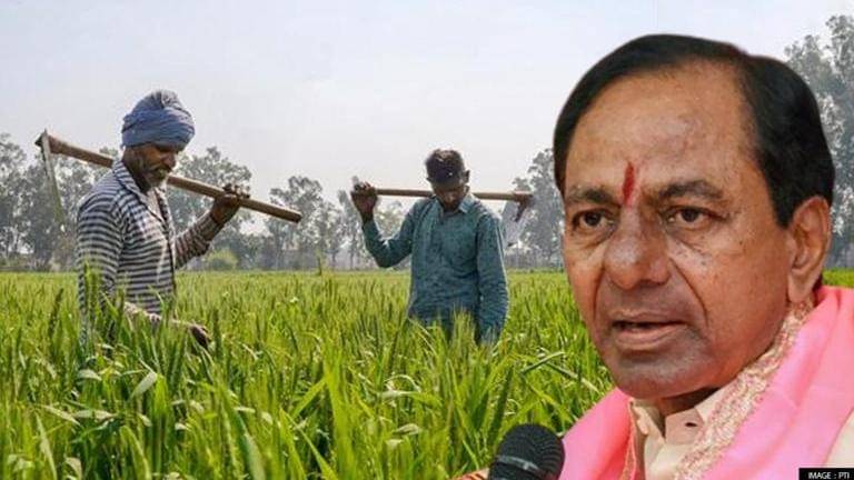 Telangana Govt to buy entire paddy from farmers after Centre's denial