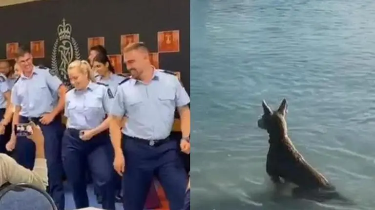 Dog saves owner to voter fraud in New Zealand, here's a look at this week's top viral news dog saves owner