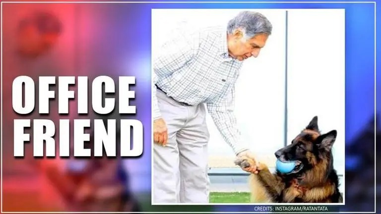 Here's the friend that Ratan Tata looks forward to meeting every day in office Here's