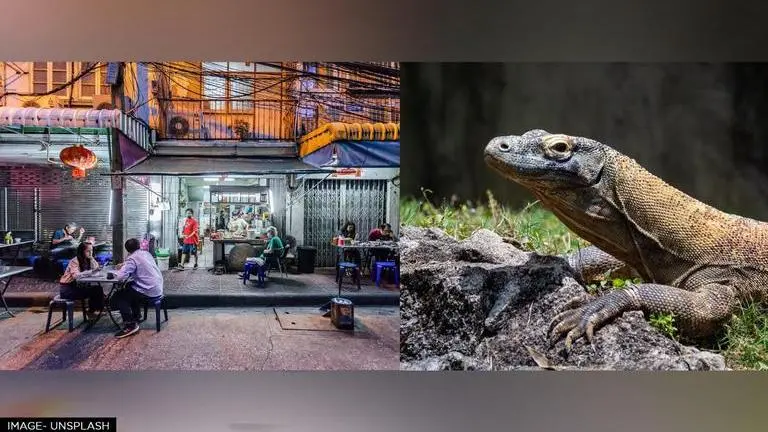 Petrified Woman breaks down in fear after seeing monitor lizard in restaurant; Watch Woman
