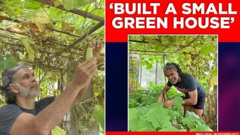 Milind Soman shows his 'Sabzee ka Ghar'; wife Ankita calls him a 'Bearded farmer' Milind Soman