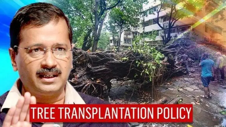 Delhi govt's 'first' tree transplantation policy & smog tower to combat air pollution Delhi