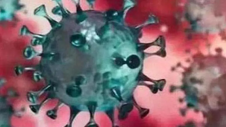 Total number of coronavirus cases in Pakistan rises to 799