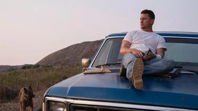 Channing Tatum flaunts his muscular torso in THIS shirtless mirror selfie, see here channing tatum