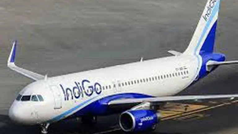 Indigo