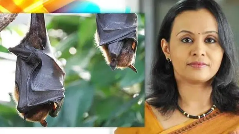 Kerala warns of Nipah-like diseases amid bat breeding season; orders precautionary steps Kerala