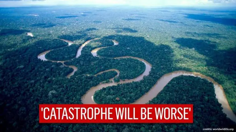 Amazon rainforest to wipe out by 2064 due to deforestation, scientist predicts Amazon Rainforest
