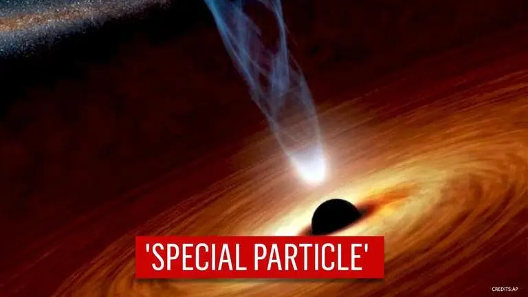 Binary black holes can have special 'gravitational molecule' around them: Study Black Holes