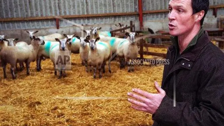 UK farmer on Brexit fears, uncertainties for 2021 UK farmer on Brexit fears, uncertainties for 2021