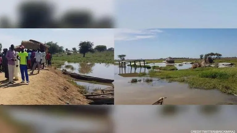 Fishing resources depleting in Logone river; locals from Cameroon & Chad blame each other Cameroon, Chad