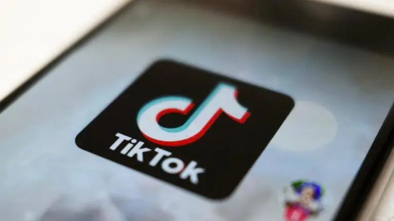 France bans 'recreational' use of TikTok, Twitter from government staff phones