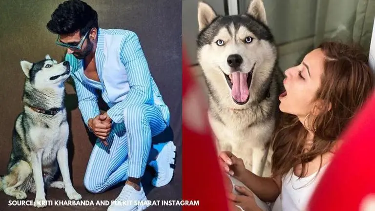 Kriti Kharbanda celebrates pet Drogo's birthday with Pulkit Samrat, see pics Kriti Kharbanda