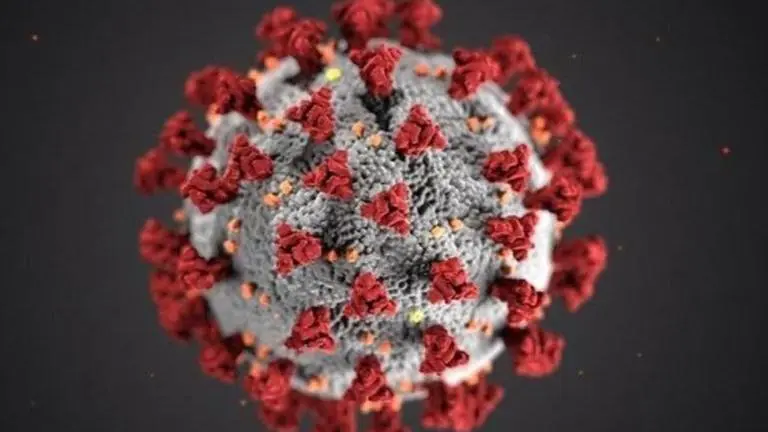 Protective immunity against novel coronavirus may last for over eight months: Study