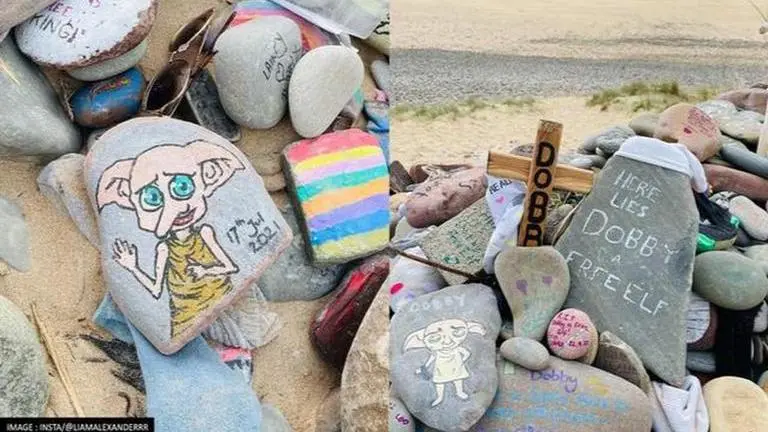 'Harry Potter' fans warned to stop putting socks at Dobby's grave on Welsh beach Harry Potter