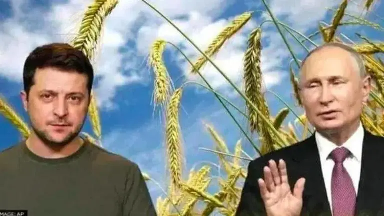 Russia stole and destroyed $1.9 billion worth of agricultural products in Ukraine: Report Russia-Ukraine war