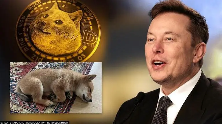 Elon Musk welcomes new pet Shiba Inu 'Floki'; value of Dogecoin cryptocurrency surges Elon Musk