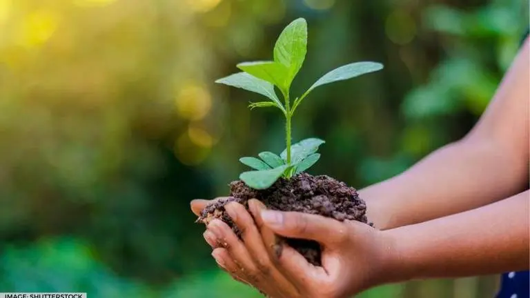 World Environment Day quotes in Malayalam that will inspire you for better living world environment day quotes in malayalam