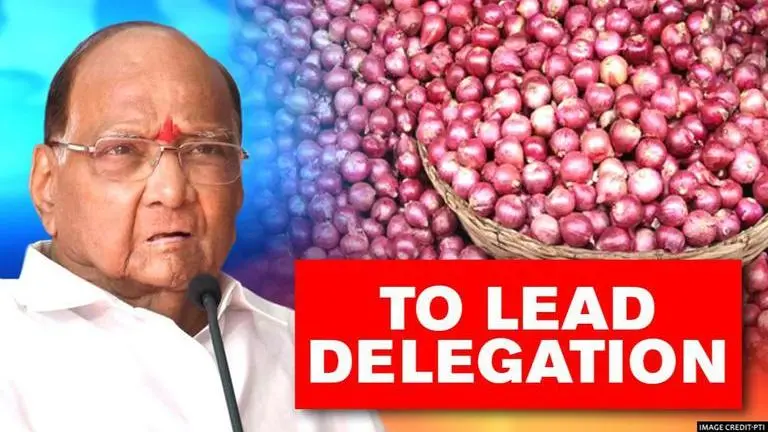MVA govt delegation led by Sharad Pawar to visit Delhi seeking removal of onion export ban Maharashtra