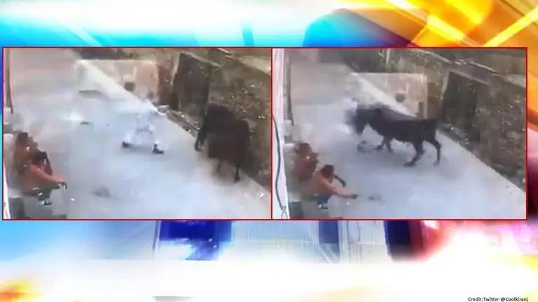 Bull attacks old man who beat it with stick; netizens reminded of 'aa bail mujhe maar' Bull