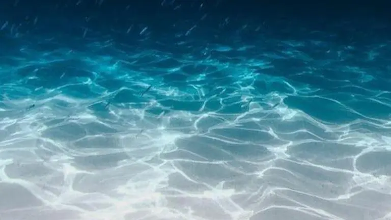 World Ocean Day images that can be shared to promote Ocean preservation World ocean day images