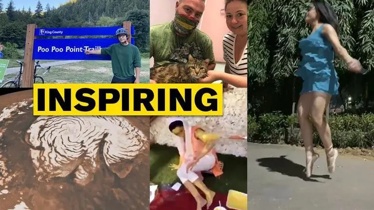 Good News: From abandoned cat finding home to musicians cycling for awareness; Read more Good News