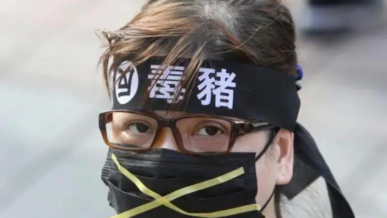 Thousands march in streets in Taiwan against US pork imports