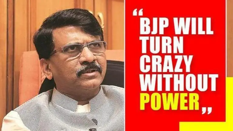 'BJP leaders will turn crazy sans power': Sanjay Raut Shiv Sena