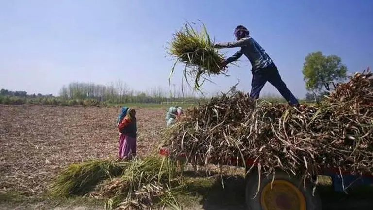 8 states finalise action plan for agri export policy: Govt