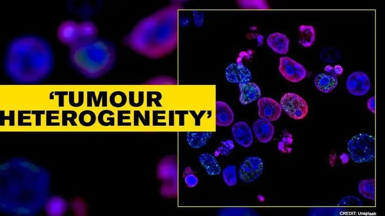 Researchers discover reason behind cancer's resistance to therapy Researchers discover reason behind cancer's resistance to therapy