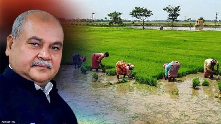 Amid farm bills row, Centre goes for early procurement of paddy in Haryana, Punjab Farm Bills