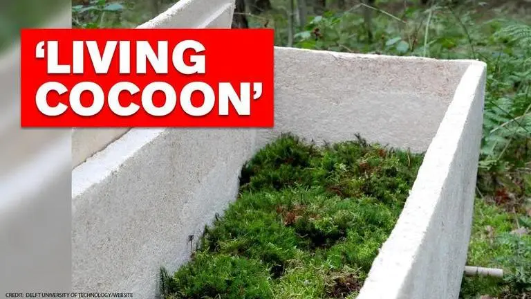 Living coffin developed by Dutch start-up, body composts more efficiently living coffin