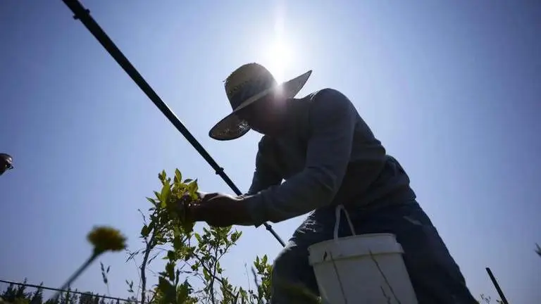 Climate change may result in 1 billion premature deaths over next century, study warns climate change
