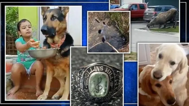 Good News: From a cute video of a kid to a moose enjoying a bath, read 5 uplifting stories Good News: Here are positive stories that will uplift your spirits