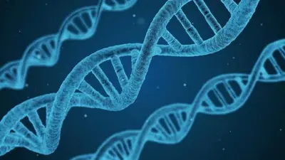 ICMR issues guidelines for gene therapy in India Photo for representation