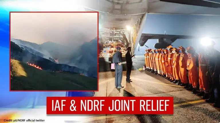 Dzuko Valley Wildfire