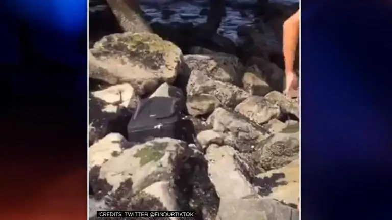 Seattle: Teenagers discover suitcase with mortal remains while making a video Seattle