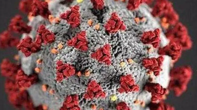 Pakistan reports 2,964 new coronavirus cases