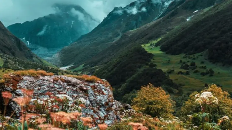 Valley of Flowers Opens to Tourists in Uttarakhand: Check Out Visiting Details Valley of Flowers