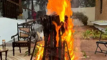 Description of the pic