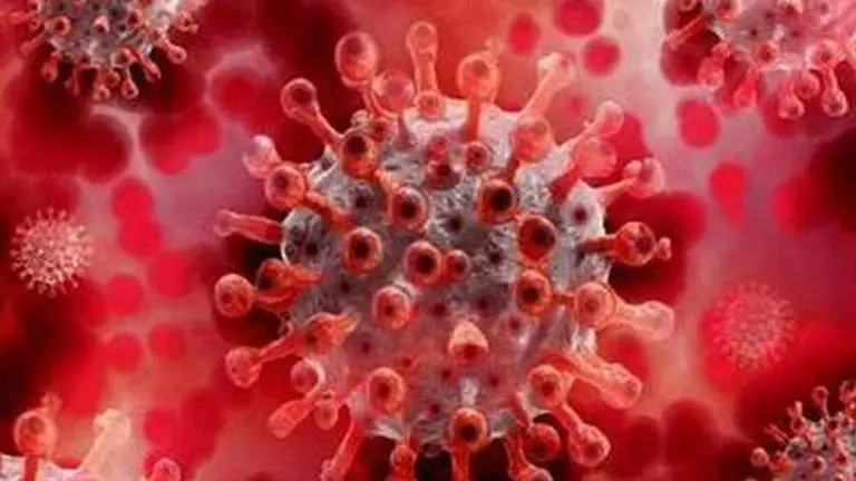 Virus in Italy remains stubbornly lethal